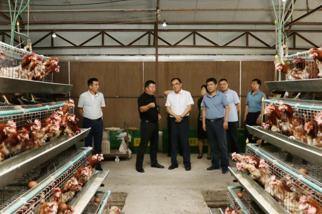 立博·英国(ladbrokes)集团官方网站